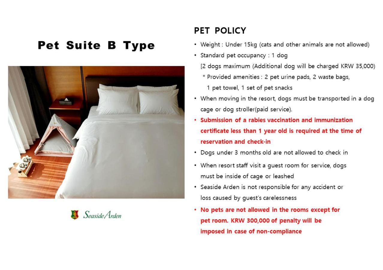 Seaside Arden Hotel Seogwipo-stad Buitenkant foto